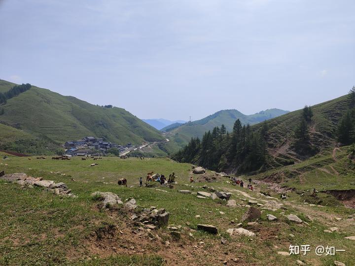 v2-20560c80e7a4e3c3892598aad7705b9d_1440w.jpg